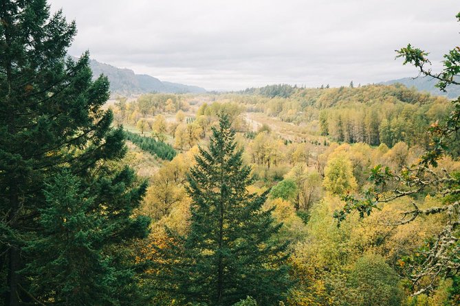 Afternoon Half-Day Multnomah Falls and Columbia River Gorge Waterfalls Tour from Portland - Multnomah Falls is the star attraction