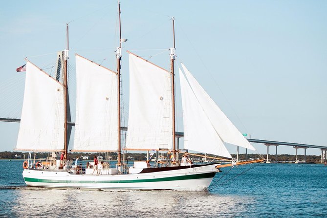 Afternoon Schooner Sightseeing Dolphin Cruise on Charleston Harbor - What the 90-minute schedule feels like