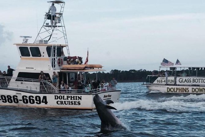 Alabama Gulf Coast Dolphin Cruise - Key points to know before you go