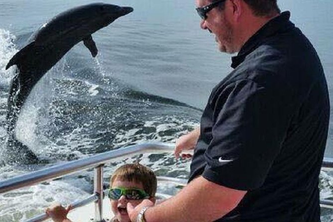 Alabama Gulf Coast Dolphin Cruise - Water battles and other wildlife
