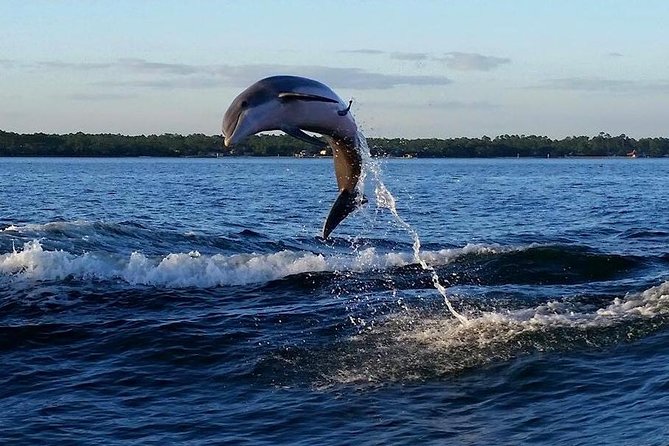 Alabama Gulf Coast Dolphin Cruise - Sunset cruises trade dolphin odds for scenery