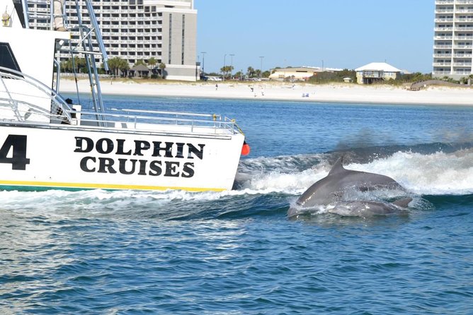 Alabama Gulf Coast Dolphin Cruise - Is the cruise good value?