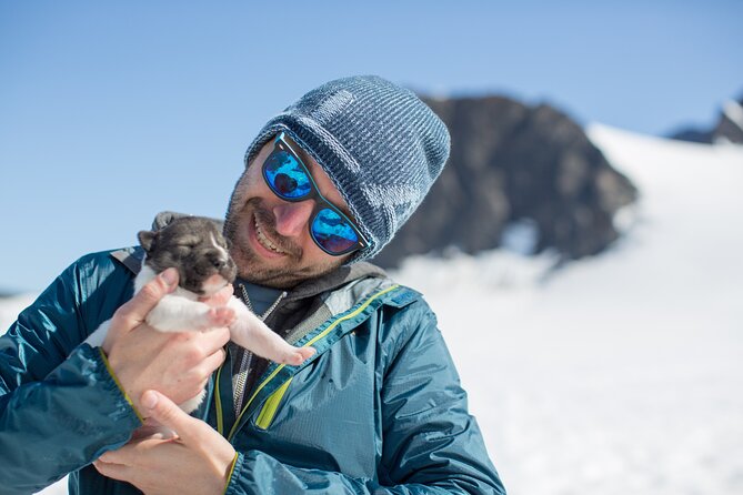Alaska Helicopter and Glacier Dogsled Tour - ANCHORAGE AREA - Why this Anchorage-area tour feels special