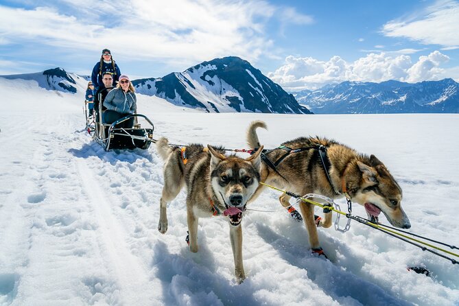 Alaska Helicopter and Glacier Dogsled Tour - ANCHORAGE AREA - The helicopter flight over the Church Range and Knik Glacier