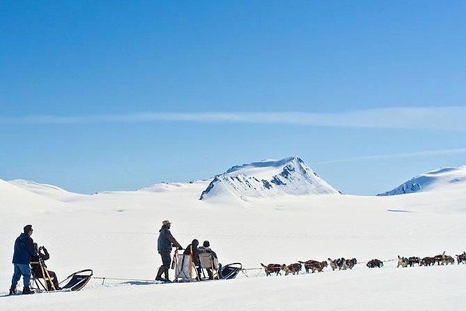 Alaska Helicopter and Glacier Dogsled Tour - ANCHORAGE AREA - Mushing your own sled team