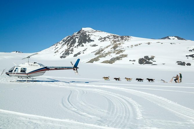 Alaska Helicopter and Glacier Dogsled Tour - ANCHORAGE AREA - Price, value, and the compromises