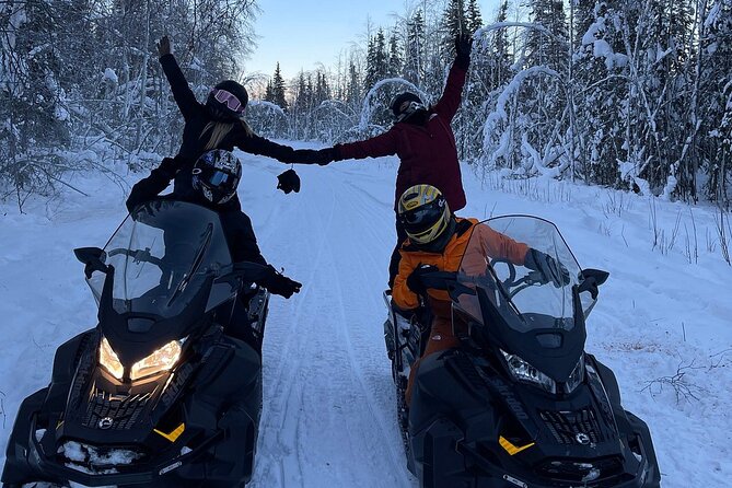 Alaska Snowmobile Adventure Tour - What the $112.50 price buys you