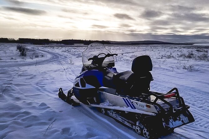Alaska Snowmobile Adventure Tour - Hot chocolate after the cold