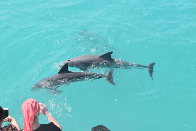 All-Inclusive Sandbar Safari with Dolphin Playground Encounter - Cruising into the Florida Keys National Marine Sanctuary