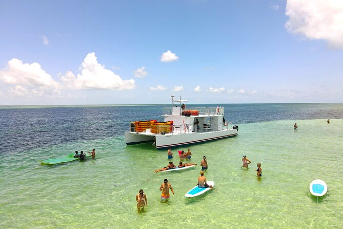 All-Inclusive Sandbar Safari with Dolphin Playground Encounter - The Dolphin Playground is a wildlife stop, not a show