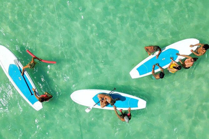 All-Inclusive Sandbar Safari with Dolphin Playground Encounter - Who will enjoy this Key West boat trip?
