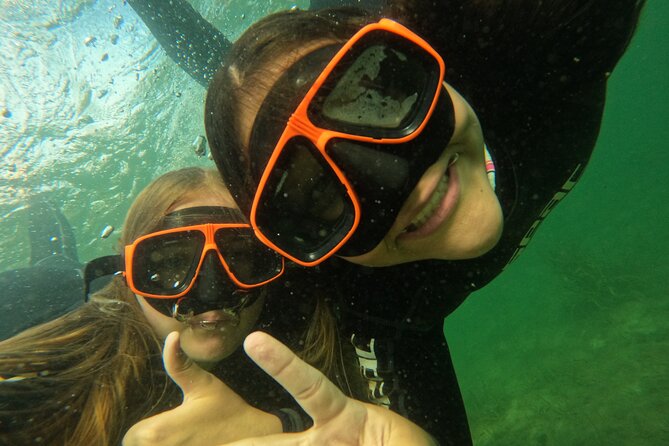 All-Inclusive Small Group Manatee Swim with Free Photos - Starting at Pete’s Pier in Crystal River