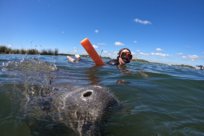 All-Inclusive Small Group Manatee Swim with Free Photos - Is $89.95 a Good Deal?