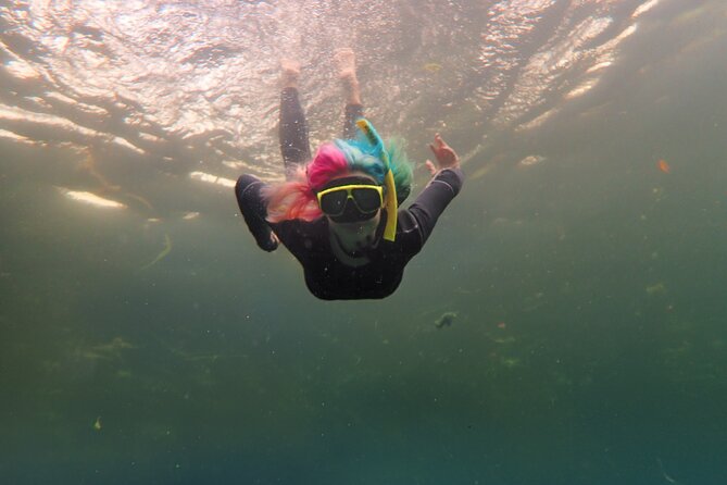 All-Inclusive Small Group Manatee Swim with Free Photos - Why a Six-Person Boat Changes the Experience