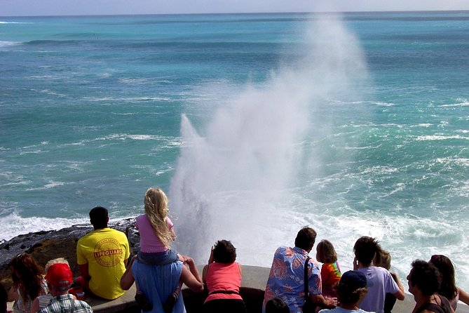 All Inclusive Ultimate Circle Island Tour, Waimea Falls & Lunch - North Shore lunch at Tanaka Kahuku Shrimp
