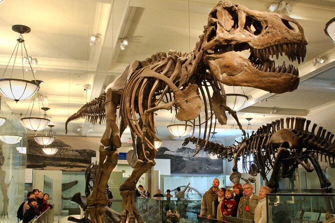 American Museum of Natural History Admission Ticket - Dinosaurs, mammals, and the museum’s headline sights