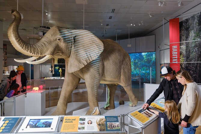 American Museum of Natural History Admission Ticket - A practical route for a three-hour visit