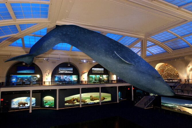American Museum of Natural History Admission Ticket - Food and a sensible day plan