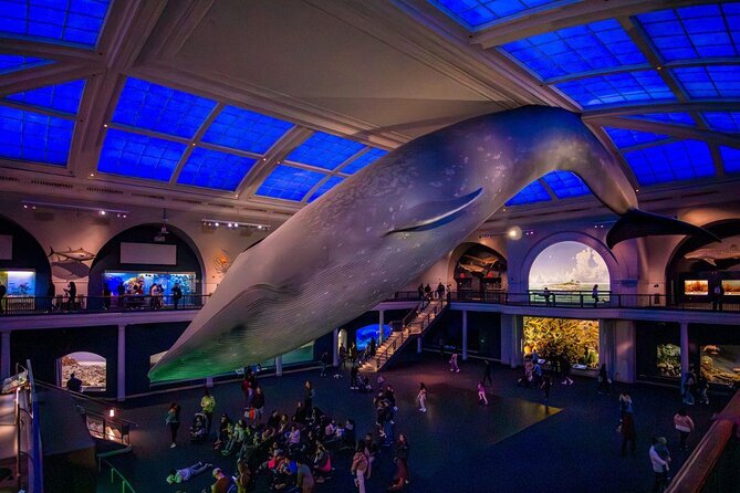 American Museum of Natural History Admission Ticket - What the $37 admission covers