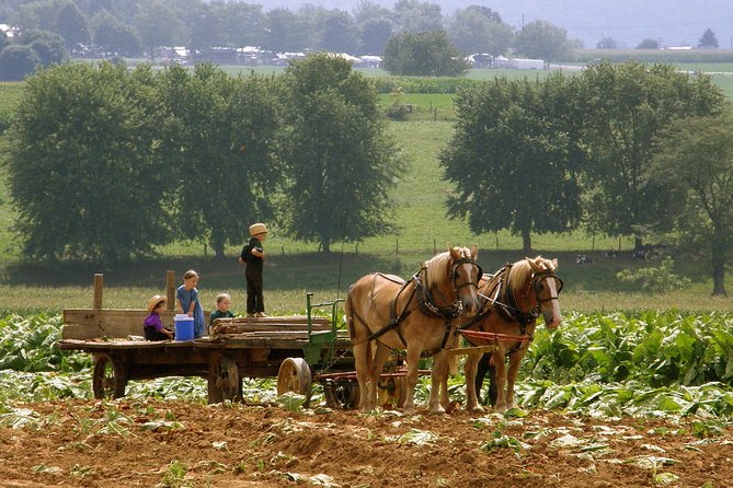 Amish Experience SuperSaver Package - What the SuperSaver package actually gives you