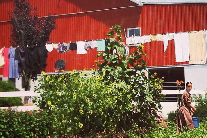 Amish Experience SuperSaver Package - The 90-minute ride through Amish farmlands