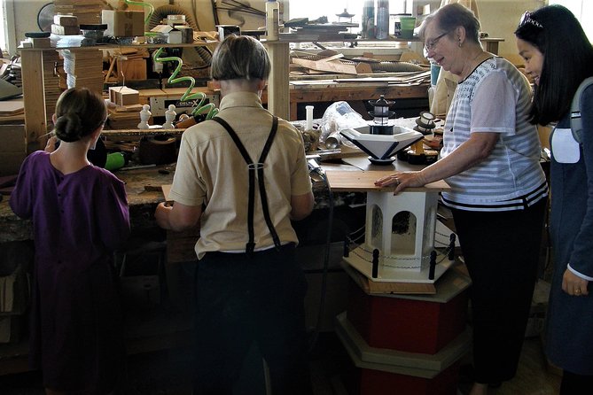 Amish Experience Visit-In-Person Tour - Why this tour feels different from a bus ride through Amish Country