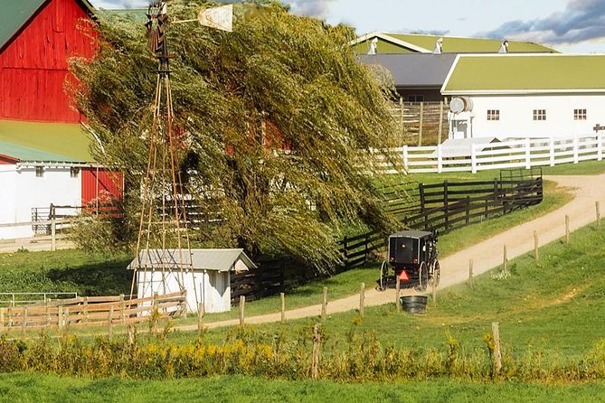 Amish Experience Visit-In-Person Tour - The Amish farm: milk, machinery, and practical choices