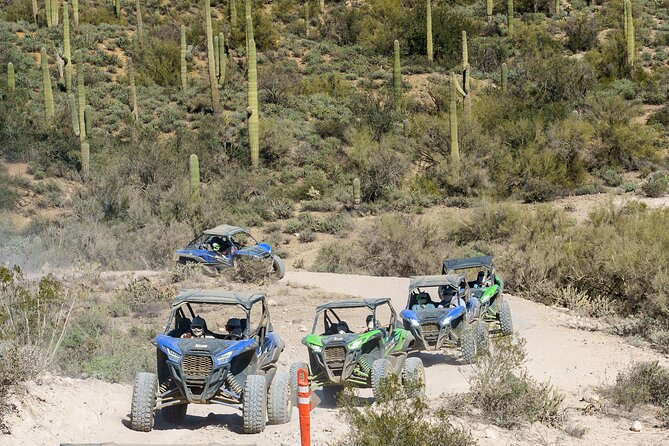 Ancient Ruins Tour - Guided Arizona Desert Tour by UTV - Ancient ruins, river crossings, and rough desert trails