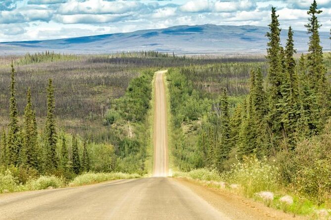 Arctic Circle Day Tour - Key points before you book