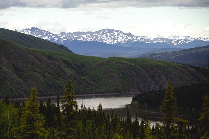 Arctic Circle Day Tour - Starting near Fairbanks and finding the pipeline