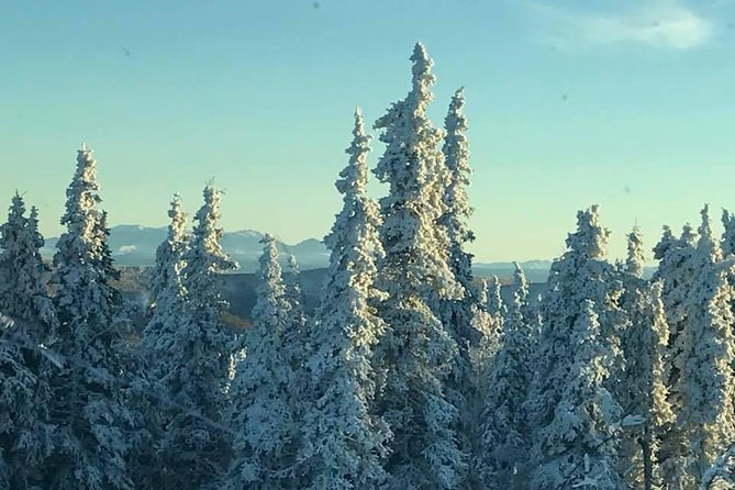 Arctic Circle Day Tour - The return ride and the real cost of the day