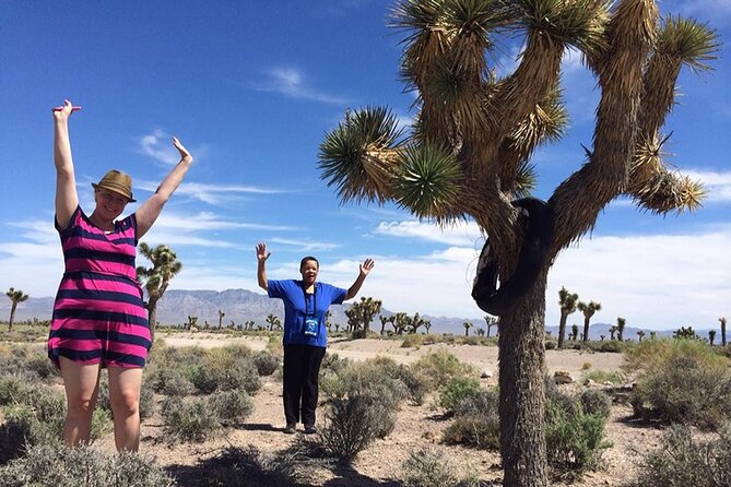 Area 51 Day Tour from Las Vegas with Alien and UFO Hotspots - The morning pickup and the Janet Airlines sighting