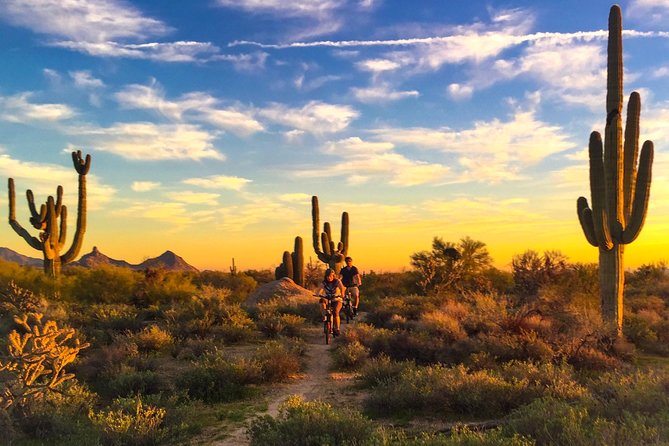 Arizona Desert Guided E-Bike Adventure - Key points to know before you ride