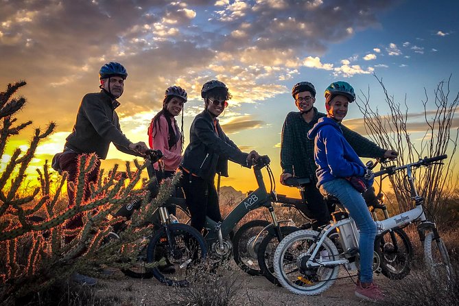 Arizona Desert Guided E-Bike Adventure - Short walks add a closer look at the desert