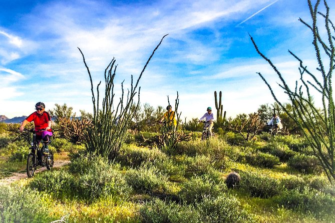 Arizona Desert Guided E-Bike Adventure - Starting at LIMóN Urban Kitchen in North Phoenix