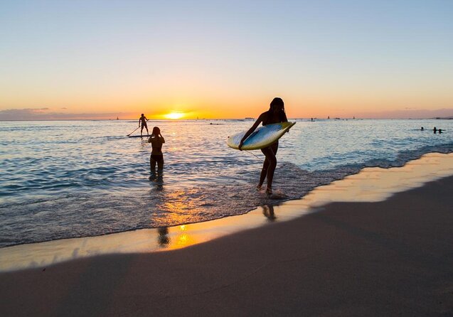 Arrival Transfer: Airport Shuttle Honolulu and Waikiki or Cruise Terminal - Key points to know before you book