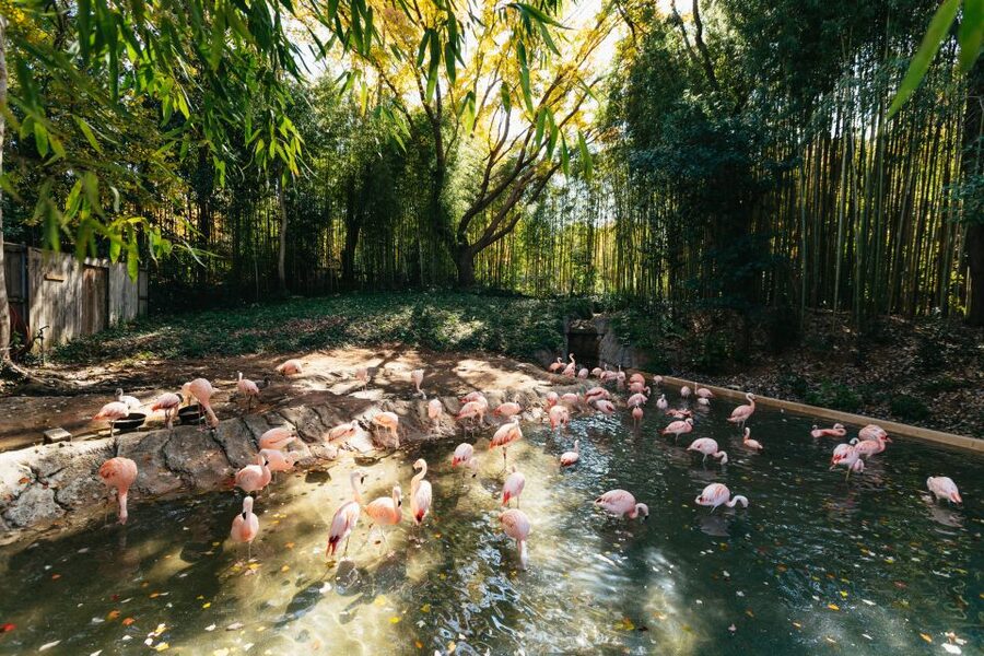 Atlanta: Zoo Atlanta General Admission Ticket - Scaly Slimy Spectacular provides a cool indoor break