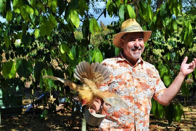 Award Winning Farm Tour: Coffee, Chocolate and Unique Gifts - Coffee tasting, from crop to cup