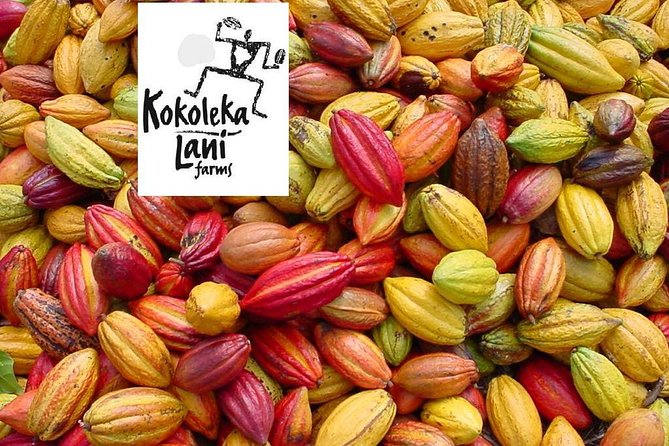 Award Winning Farm Tour: Coffee, Chocolate and Unique Gifts - The surprise third tour: natural soap making