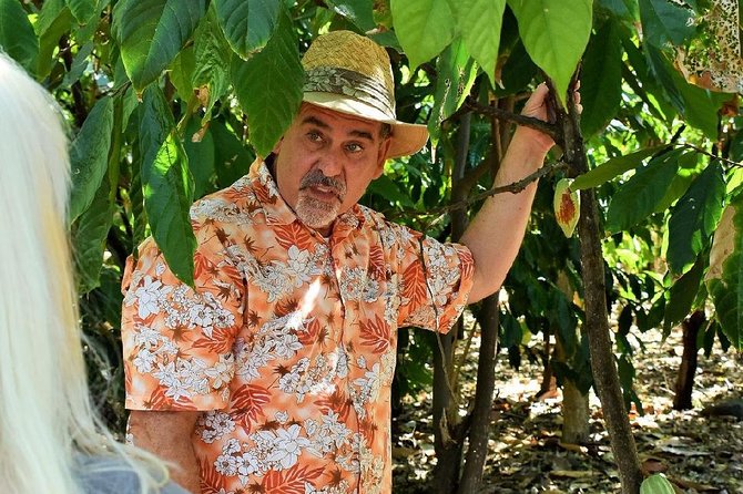 Award Winning Farm Tour: Coffee, Chocolate and Unique Gifts - Walking through the coffee and cacao farm