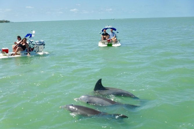 Backwater Adventure's CraigCat Tours of the 10,000 Islands - Stop 3: Open-water cruising and wildlife watching