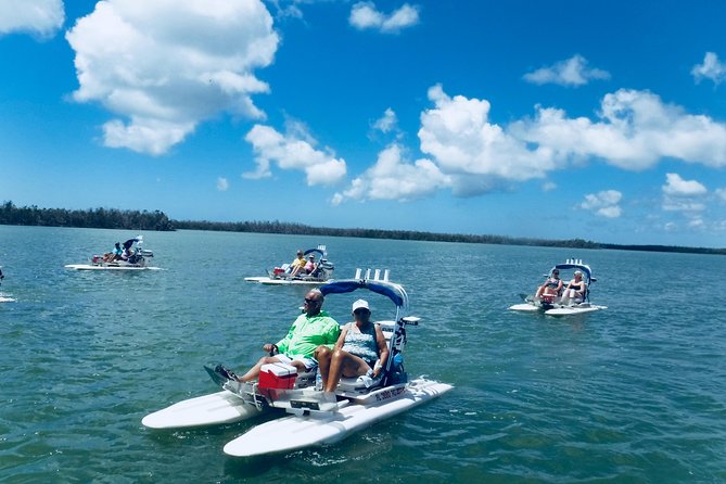 Backwater Adventure's CraigCat Tours of the 10,000 Islands - What the $135 price buys you