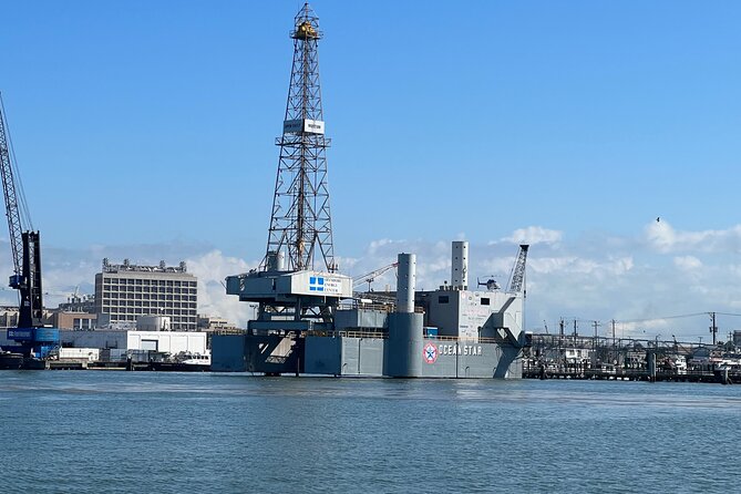 Baywatch Dolphin Tours – Pier 21 Galveston - Why This Short Galveston Cruise Works