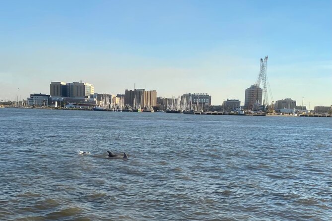 Baywatch Dolphin Tours – Pier 21 Galveston - Boarding the Boat and Finding Your Seat