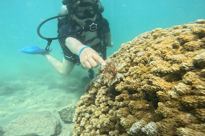 Beginner Scuba Diving Experience with Video Package in Honolulu - Why Magic Island Lagoon works for first-timers