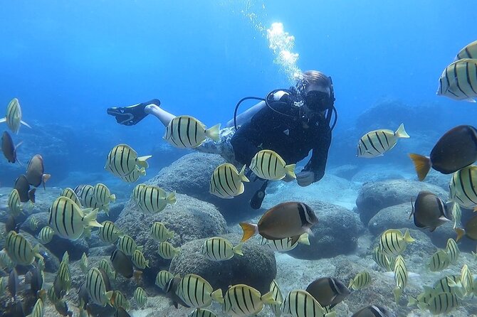 Beginner Scuba Diving Experience with Video Package in Honolulu - The safety briefing comes first