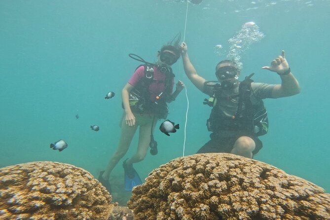Beginner Scuba Diving Experience with Video Package in Honolulu - How Kyle’s teaching style shapes the experience