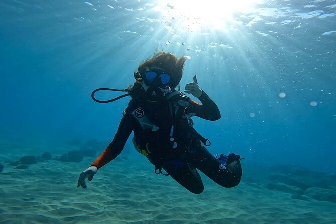 Beginner Scuba Diving Experience with Video Package in Honolulu - Price and value at $77