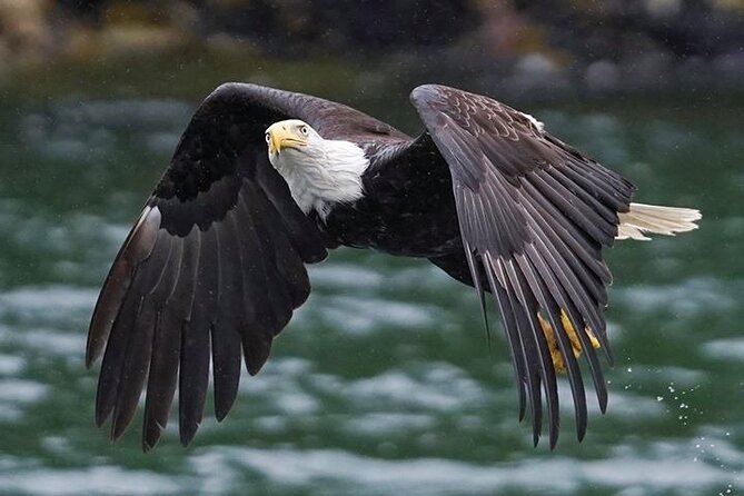 Bering Sea Crab Fisherman's Tour from Ketchikan - Three hours with a crew that does the heavy lifting