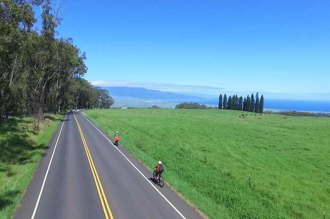 Best Haleakala Downhill Self-Guided Bike Tour with Maui Sunriders - Starting high on Haleakalā at 6,500 feet
